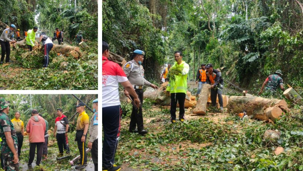 PT Suara Dewata Media - Suara dari Pulau Dewata